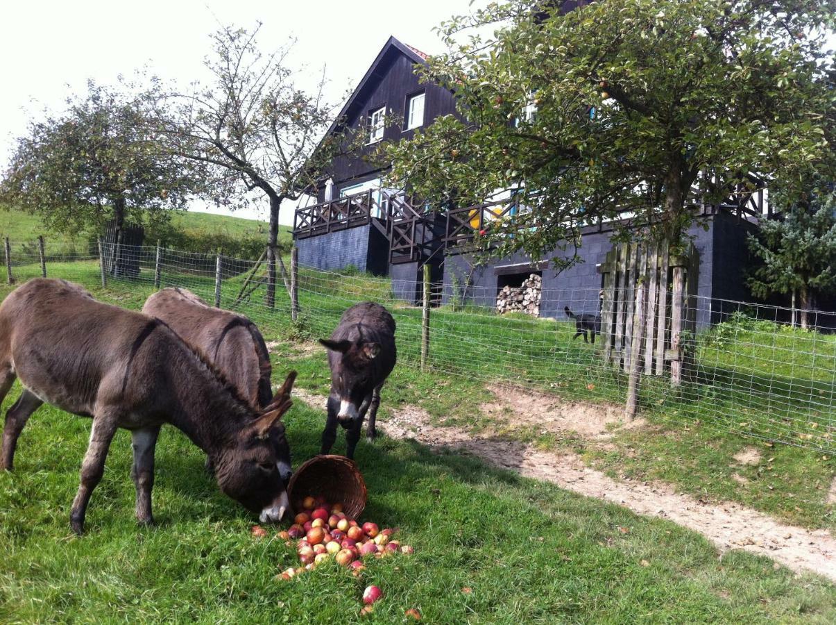 Hoeve Schoonzicht Wijlre Kültér fotó